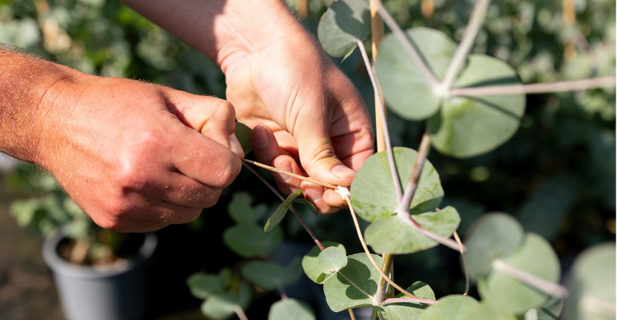 Weniger Plastik im Gartenbau: So setzt Schoenmackers FibreStrap ein