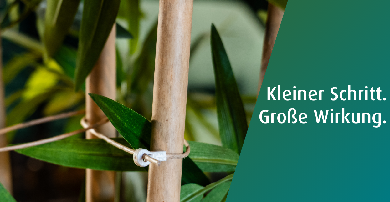 WKK wählt FibreStrap: eine nachhaltige Lösung